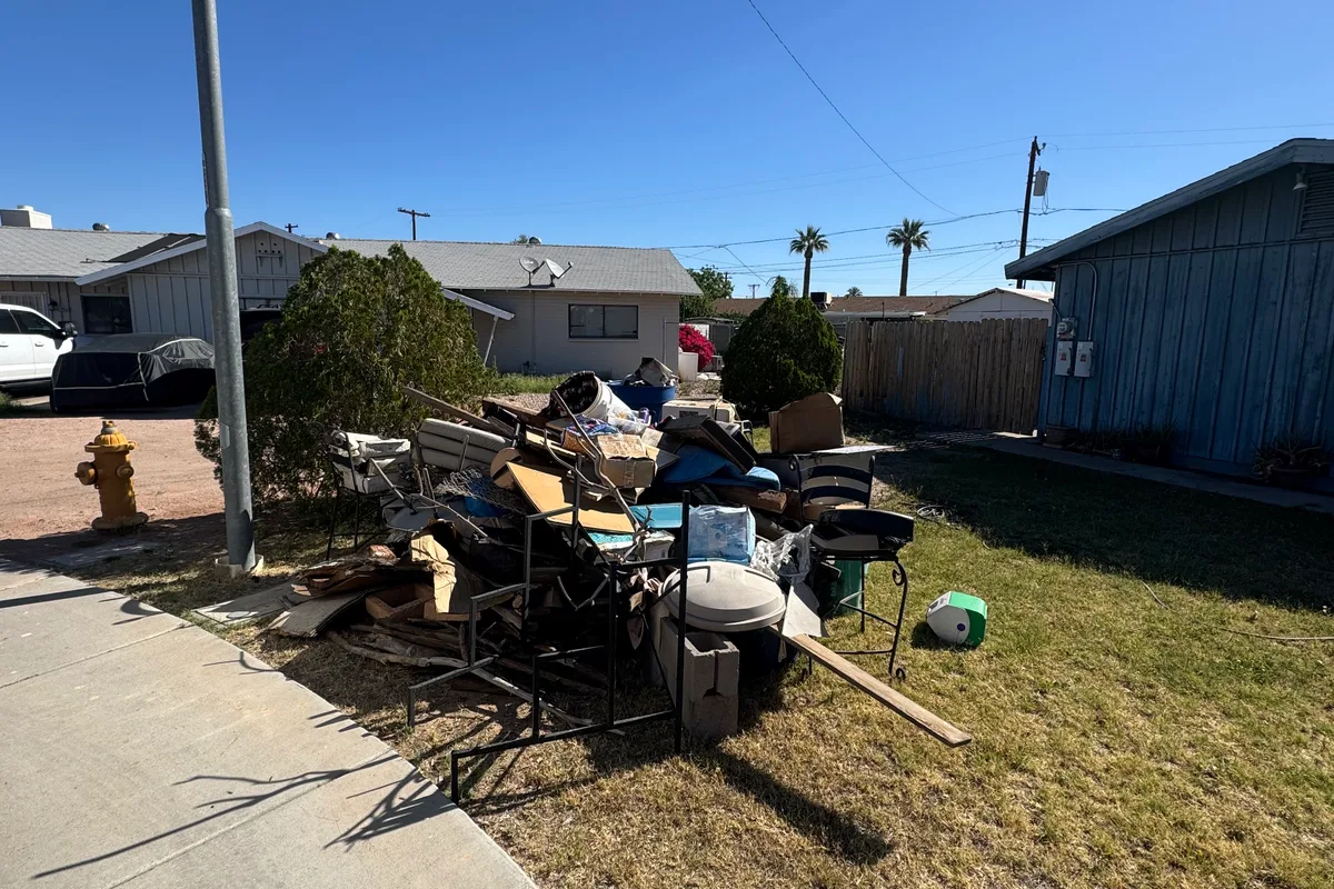 Before Yard Cleanout