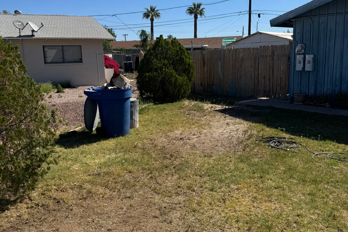 After Yard Cleanout