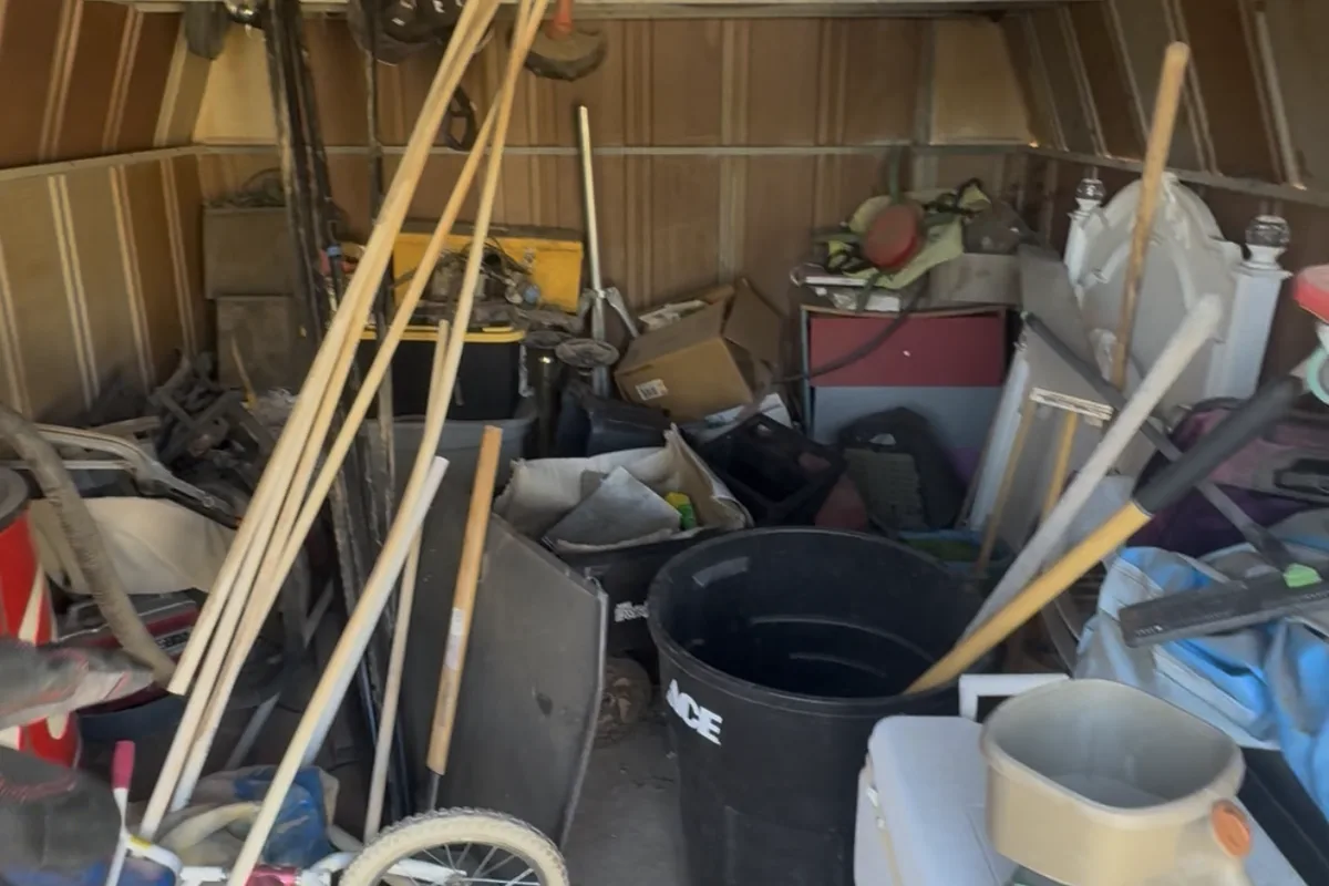 Before Shed Cleanout